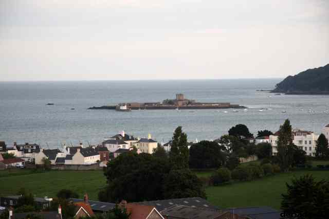 * Image 101