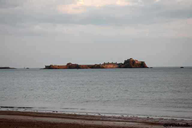 * Image 102