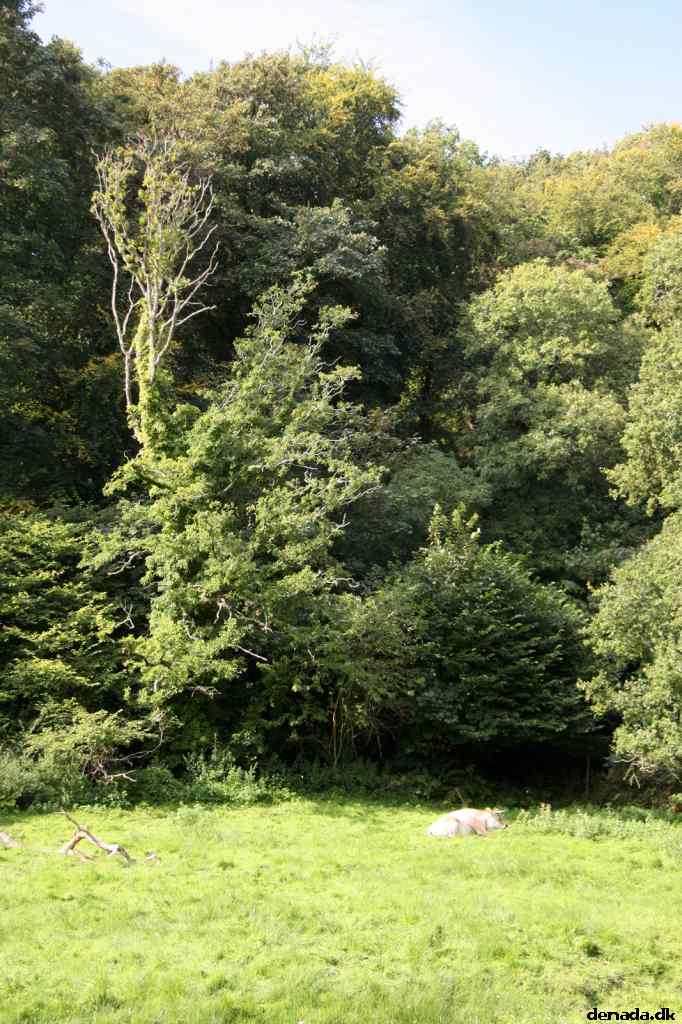 * Image 14