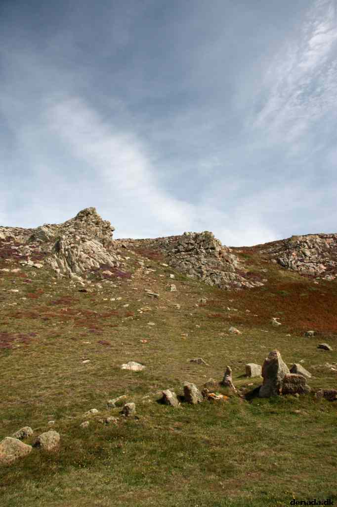 * Image 41