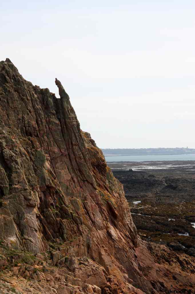 * Image 46