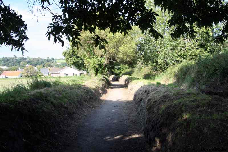 * Image 1