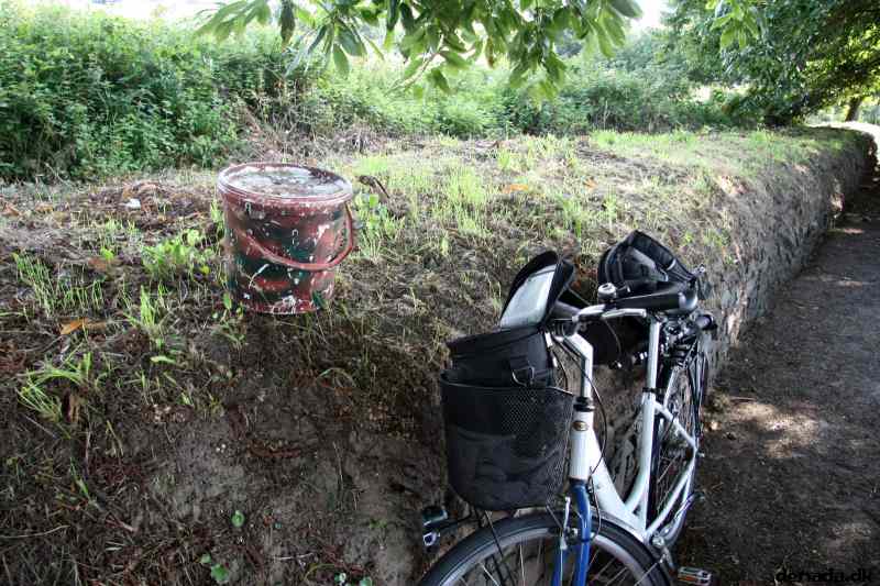 * Image 3
