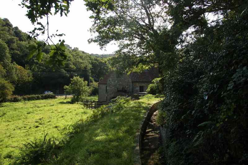 * Image 6