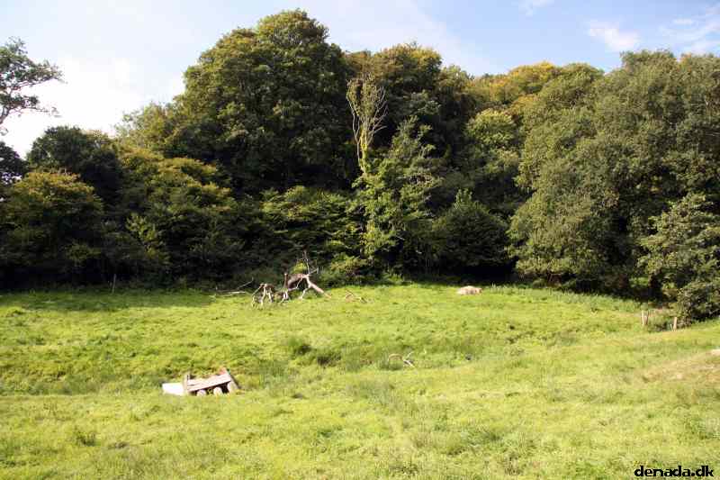 * Image 13