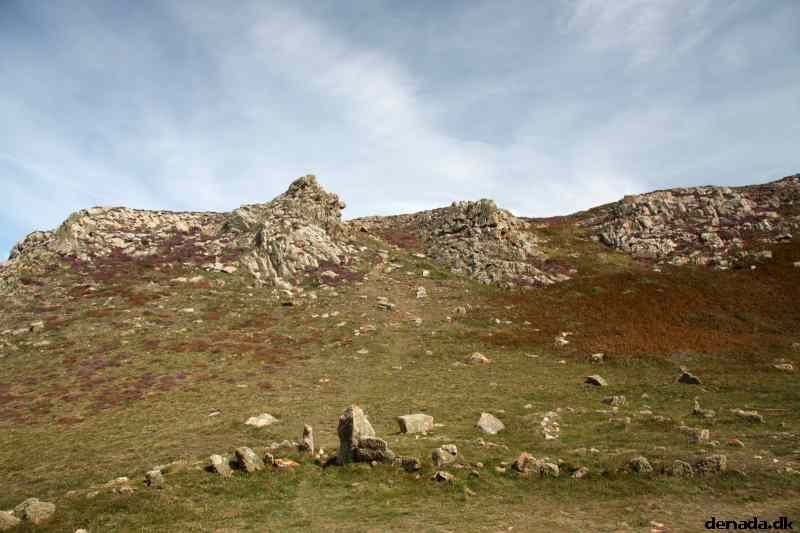 * Image 42