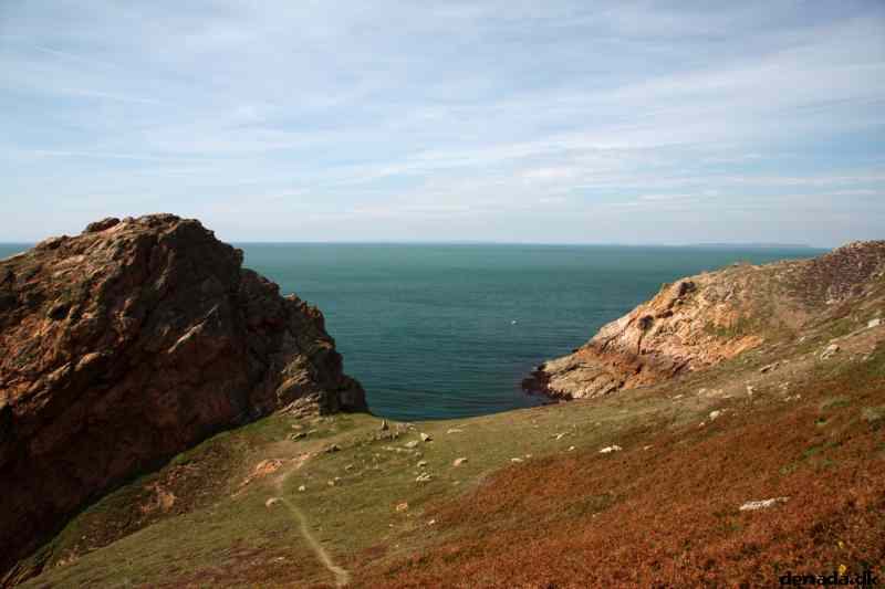 * Image 49