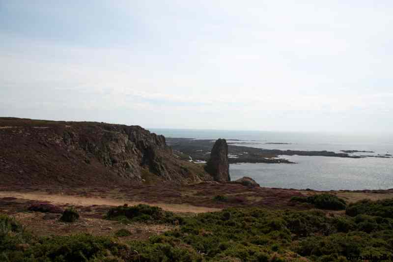 * Image 53