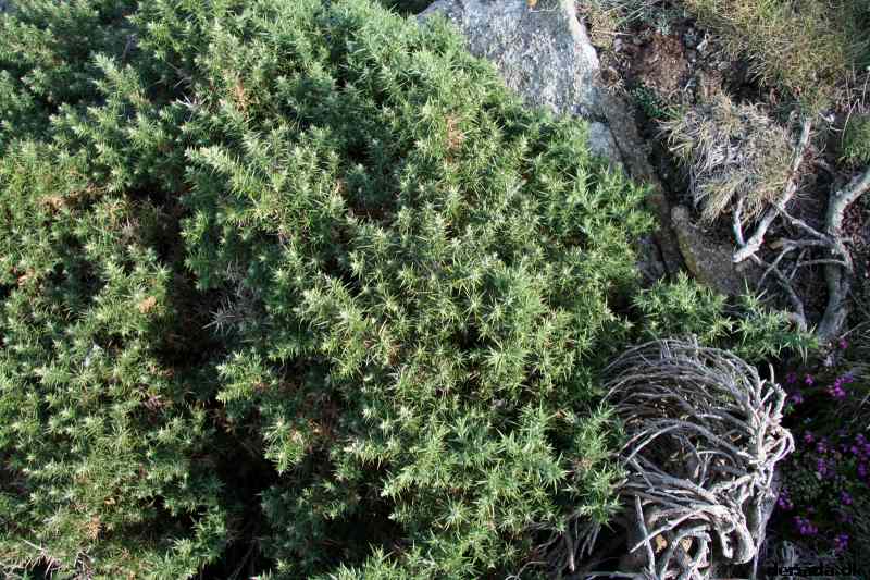 * Image 78
