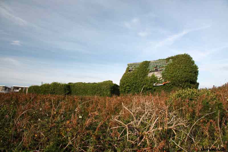 * Image 90