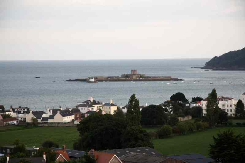 * Image 101