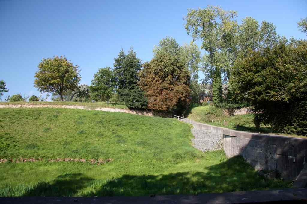 * Image 1
