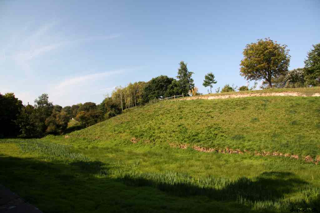 * Image 2