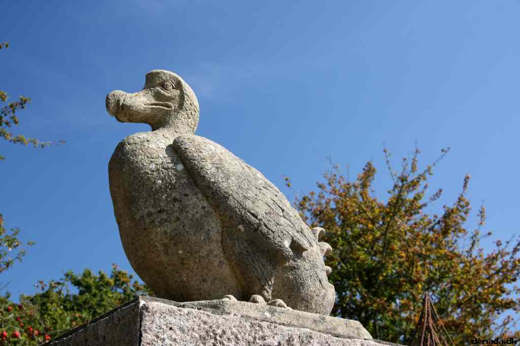 * Image 26