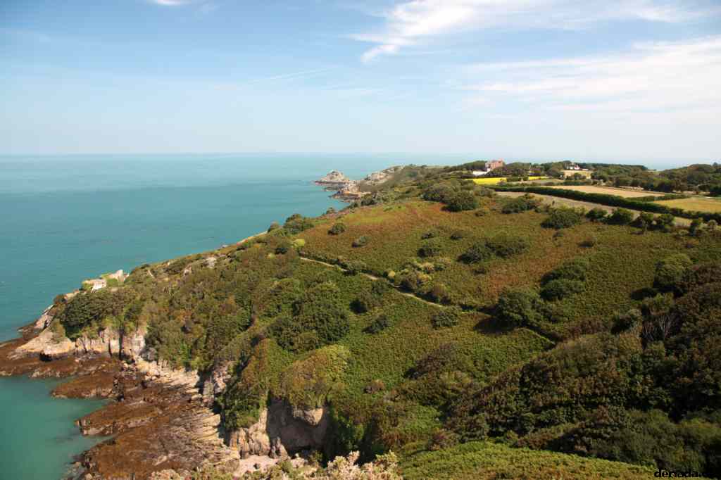* Image 38