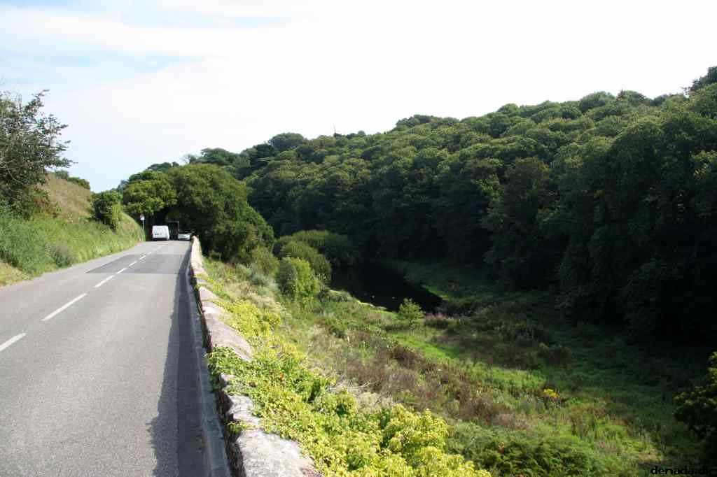 * Image 40