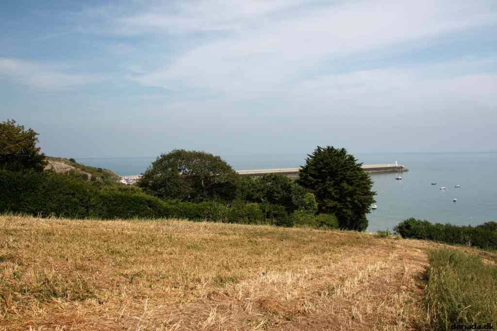 * Image 45