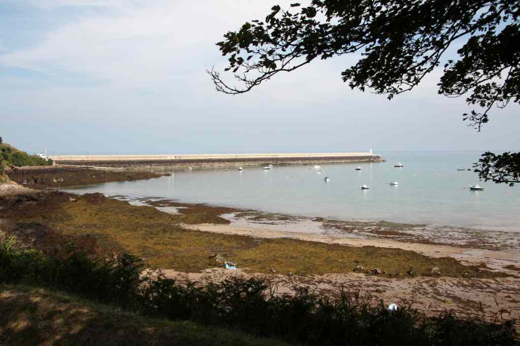 * Image 46