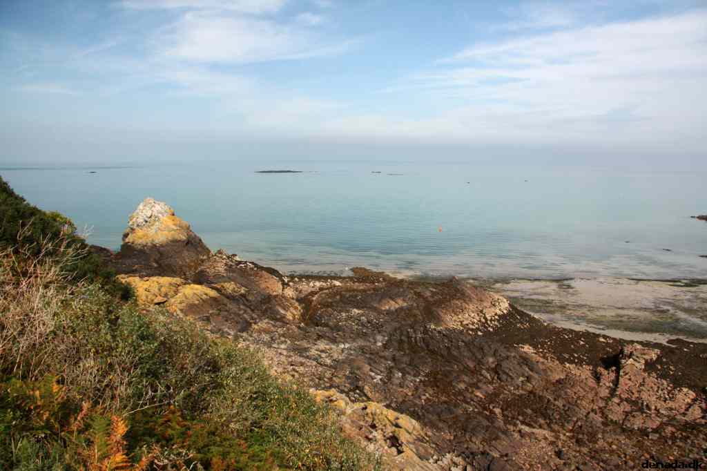 * Image 62