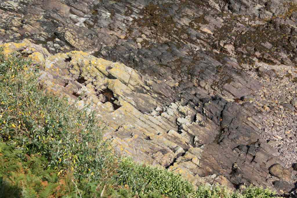 * Image 63