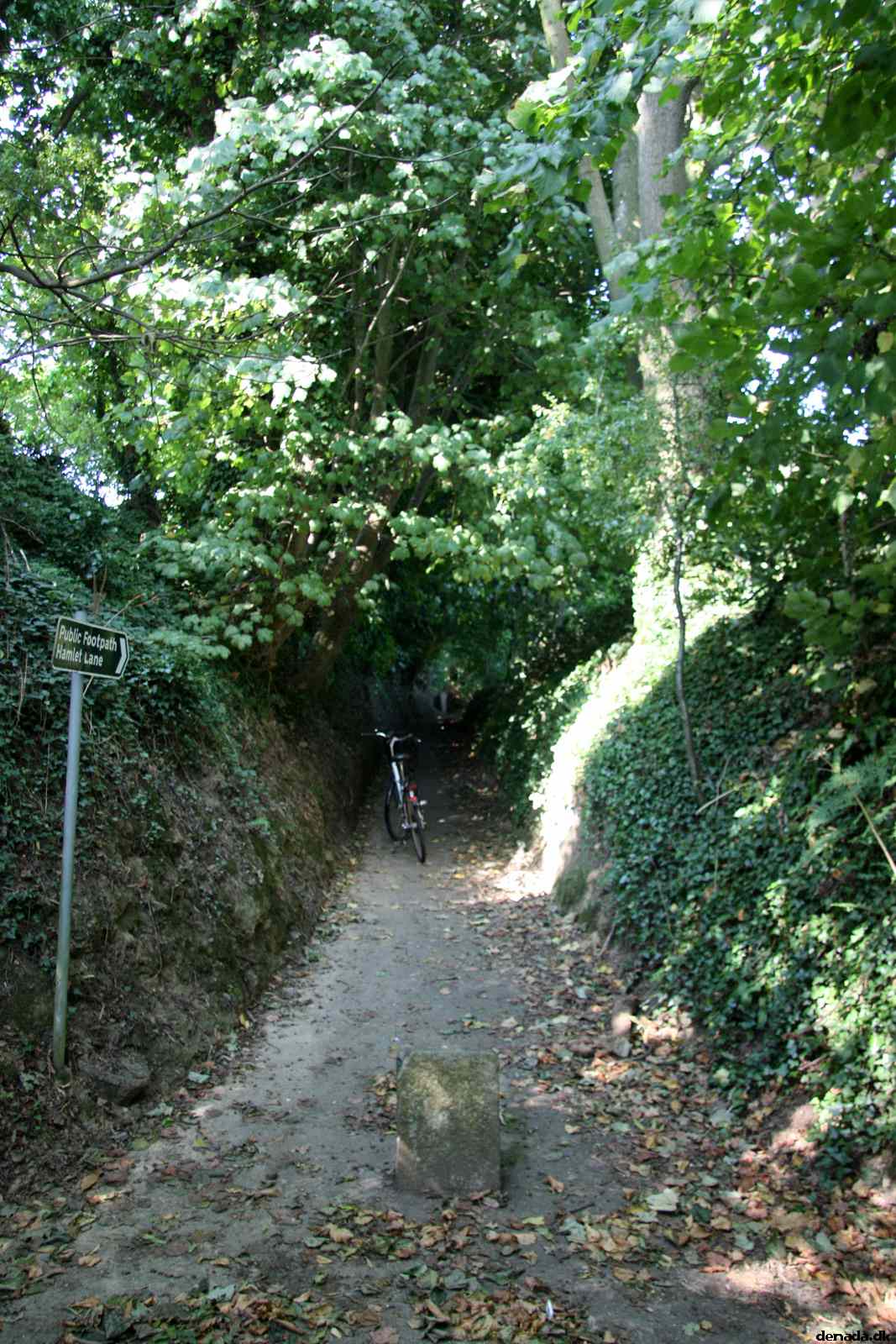 * Image 4