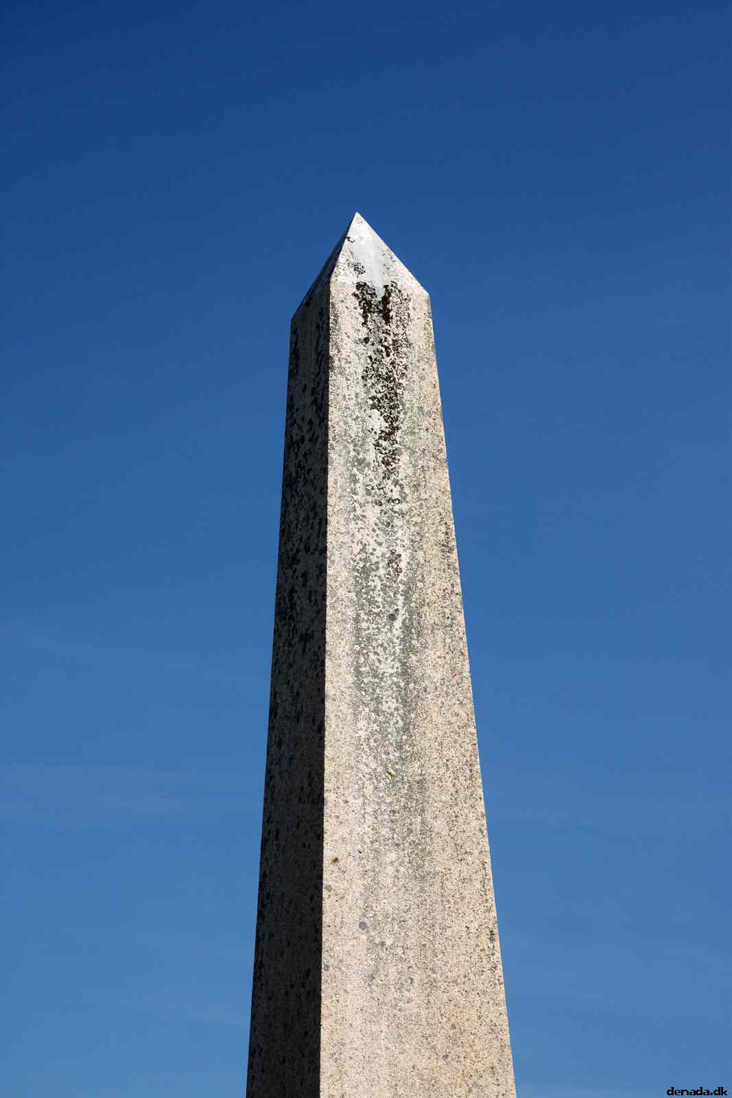 * Image 16