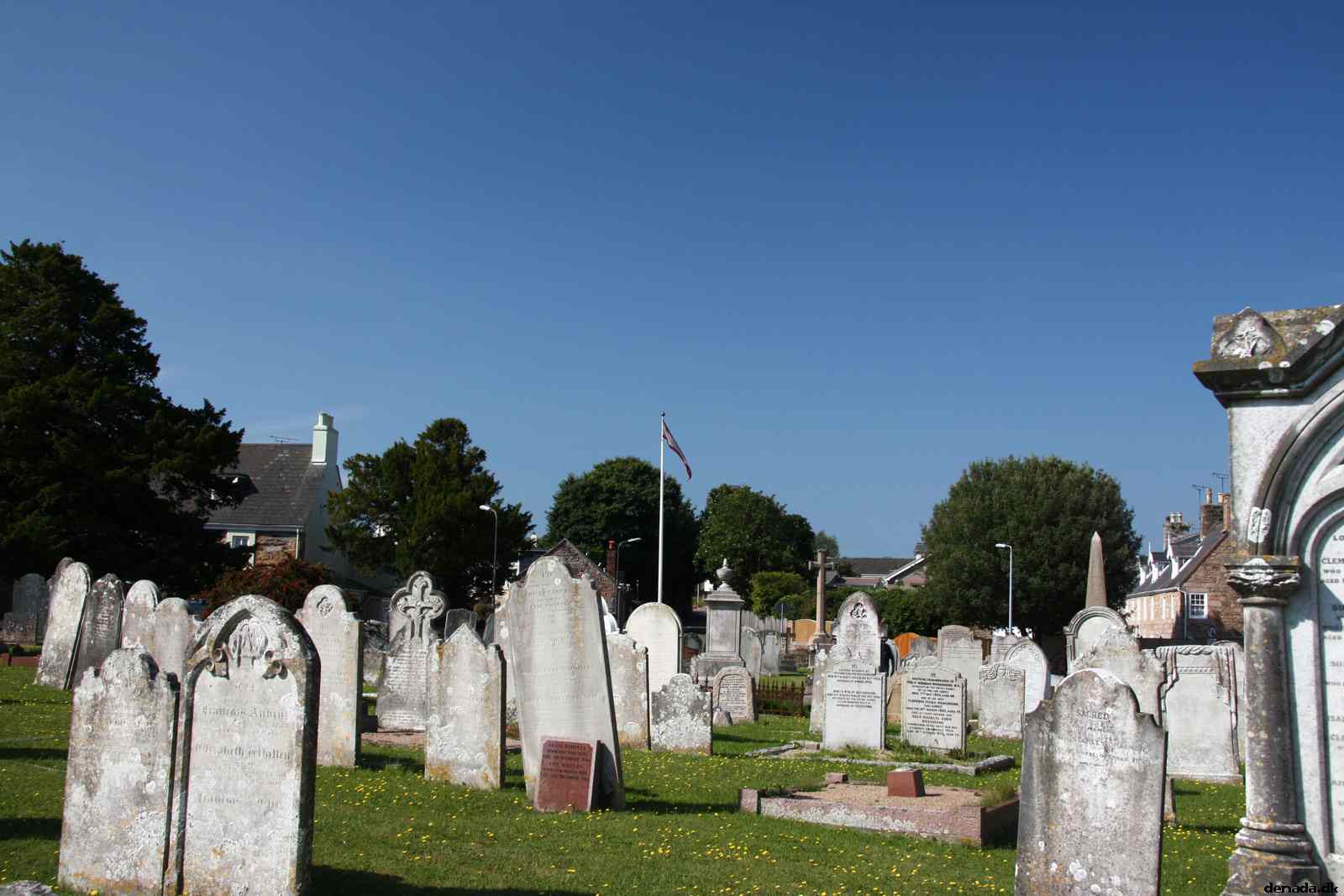 * Image 11