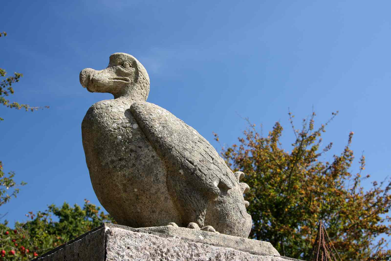 * Image 26