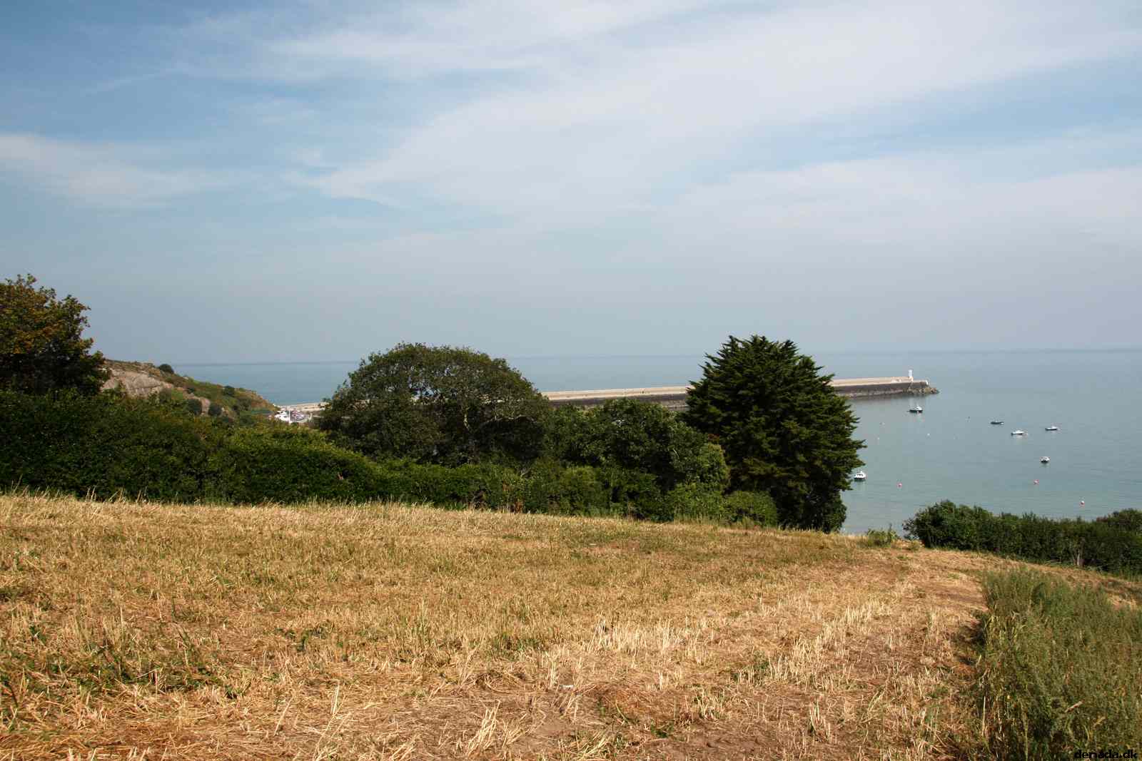 * Image 45