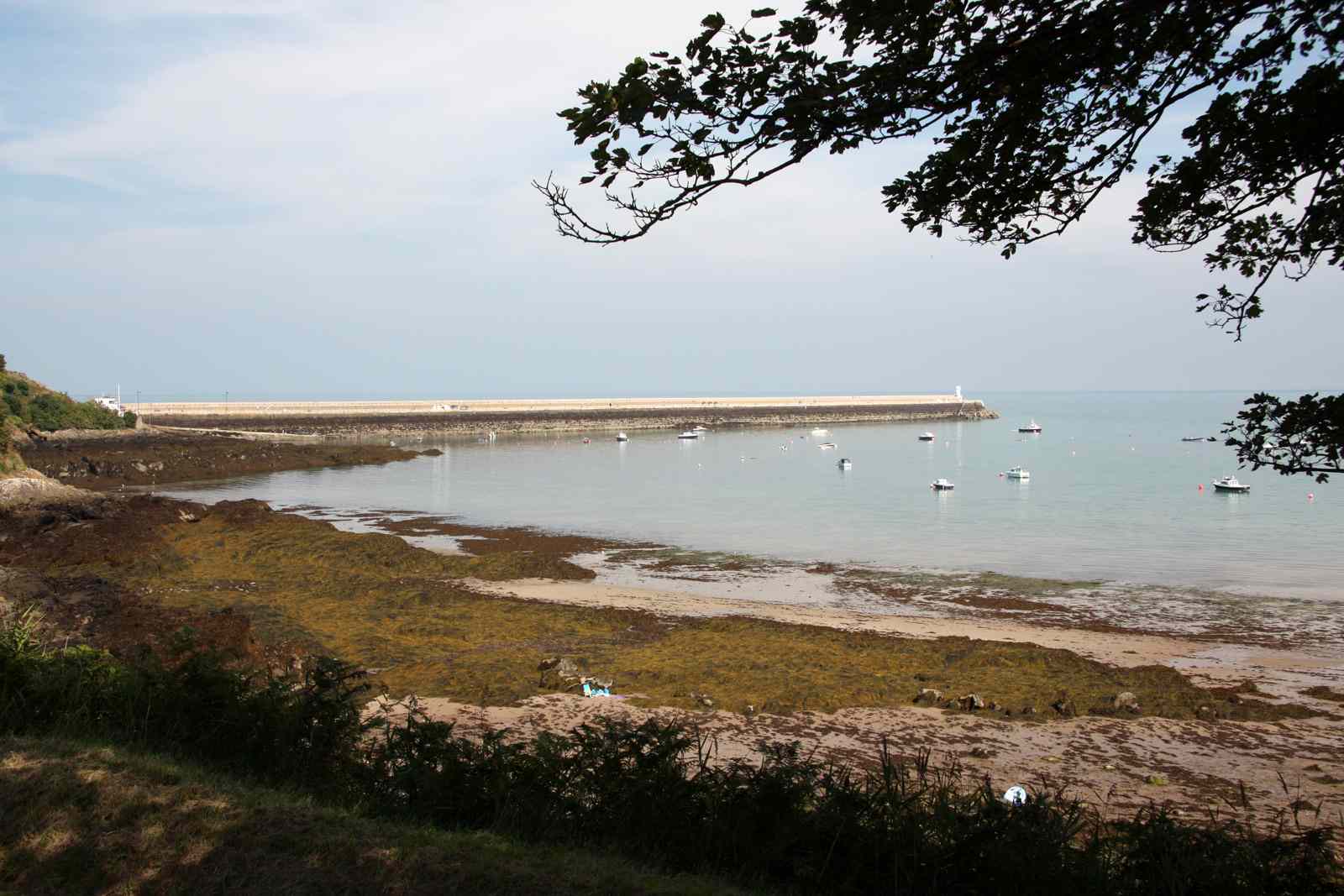 * Image 46