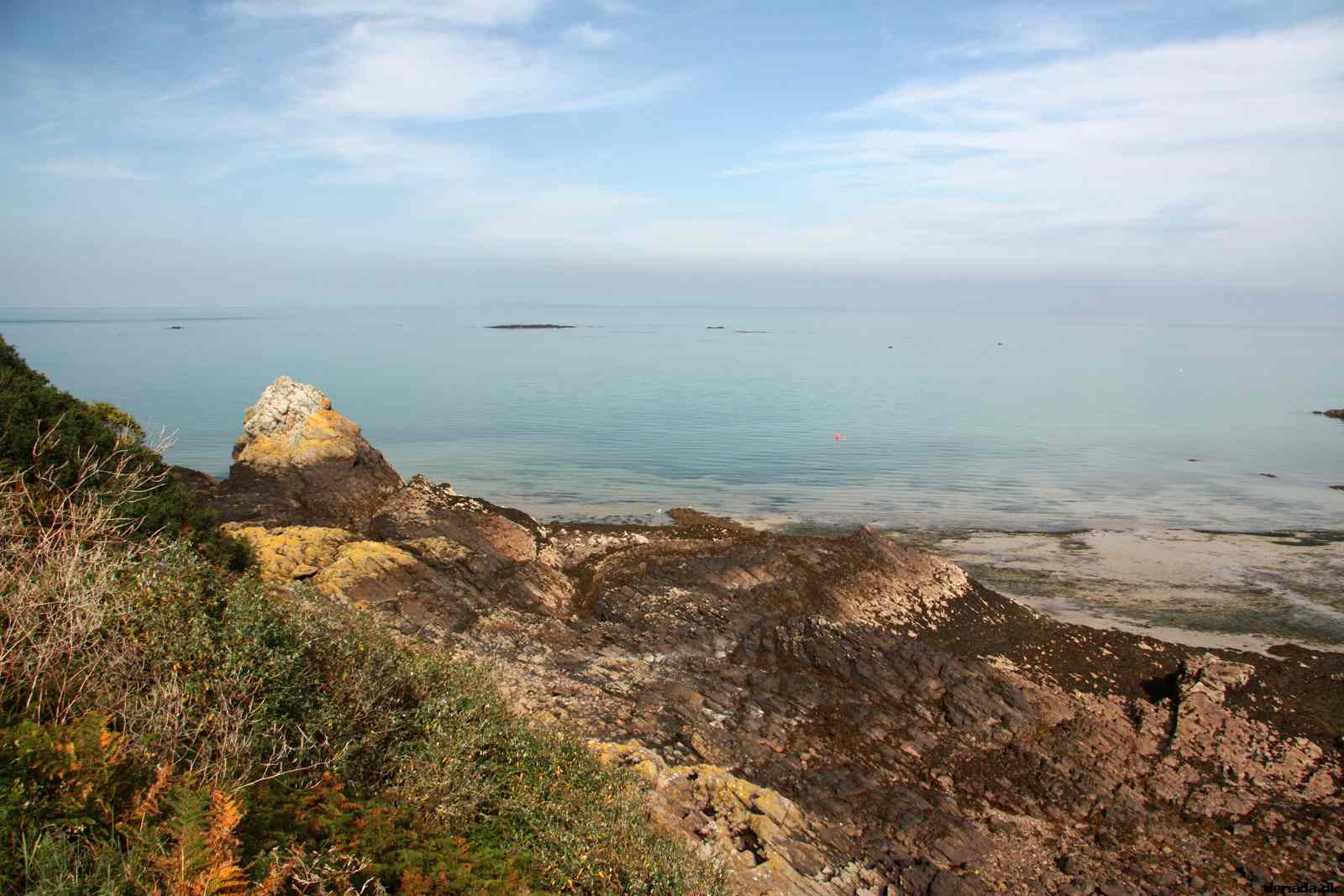 * Image 62