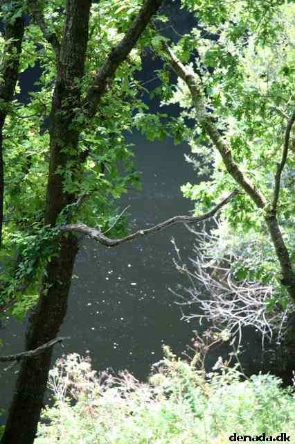 * Image 41