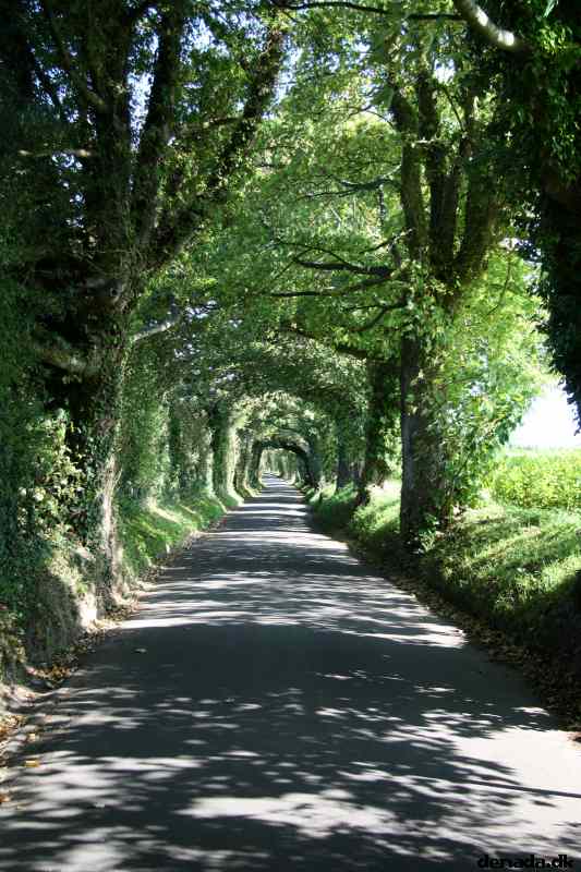 * Image 3