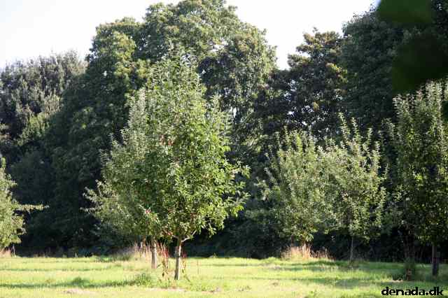 * Image 6