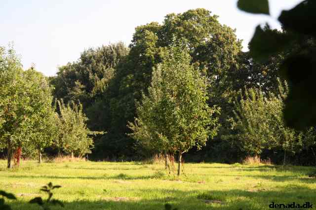 * Image 7