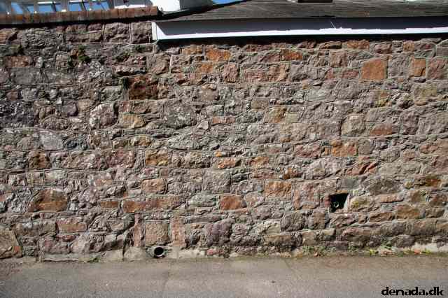 * Image 24