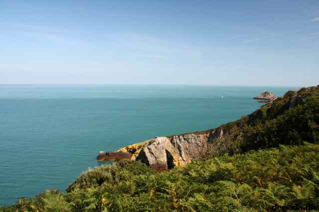 * Image 28