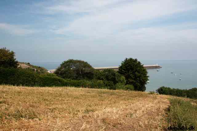 * Image 45