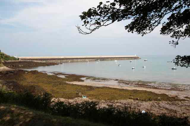 * Image 46