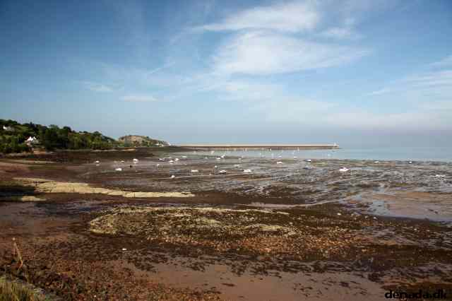 * Image 57