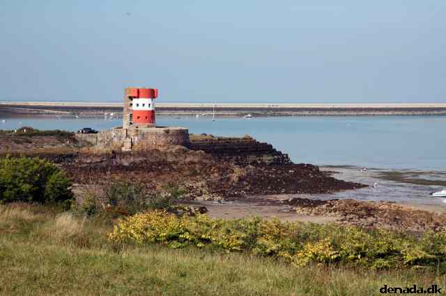 * Image 59