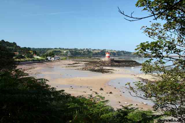 * Image 60