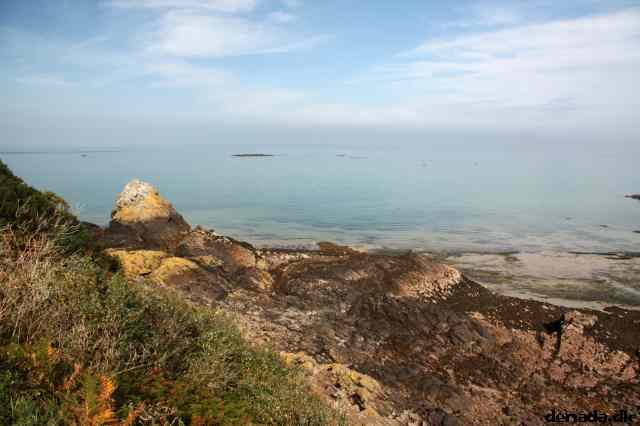 * Image 62