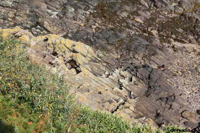 * Image 63