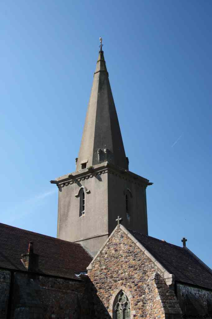 * Image 19