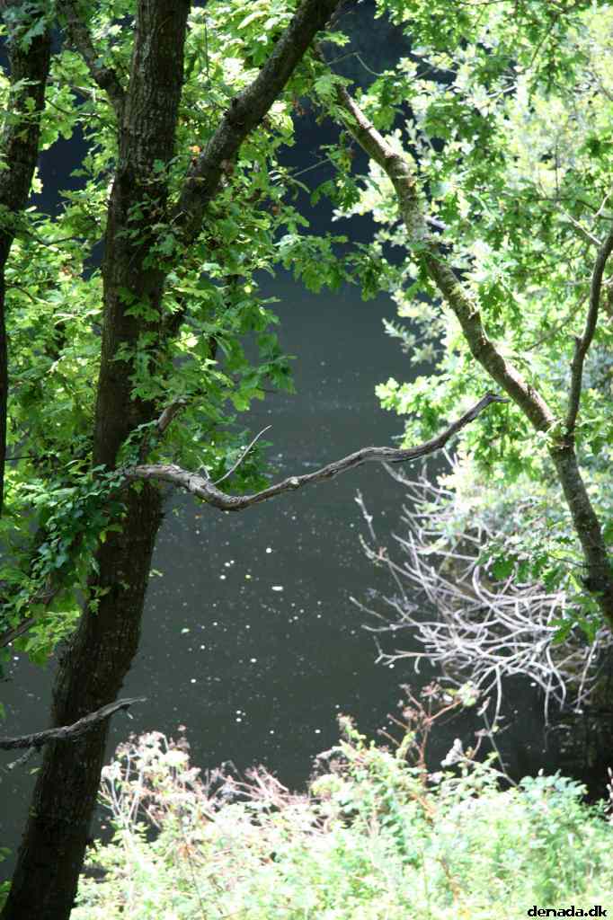 * Image 41