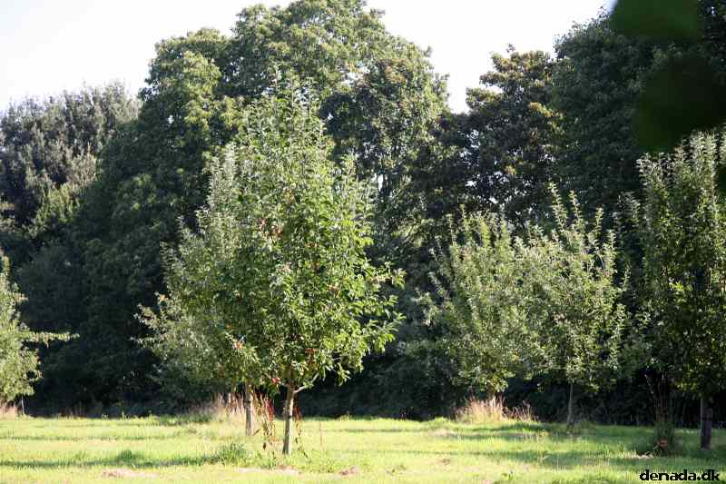* Image 6