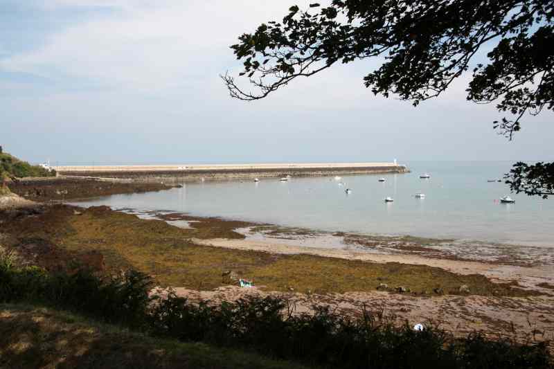 * Image 46