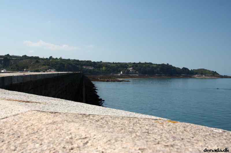 * Image 49