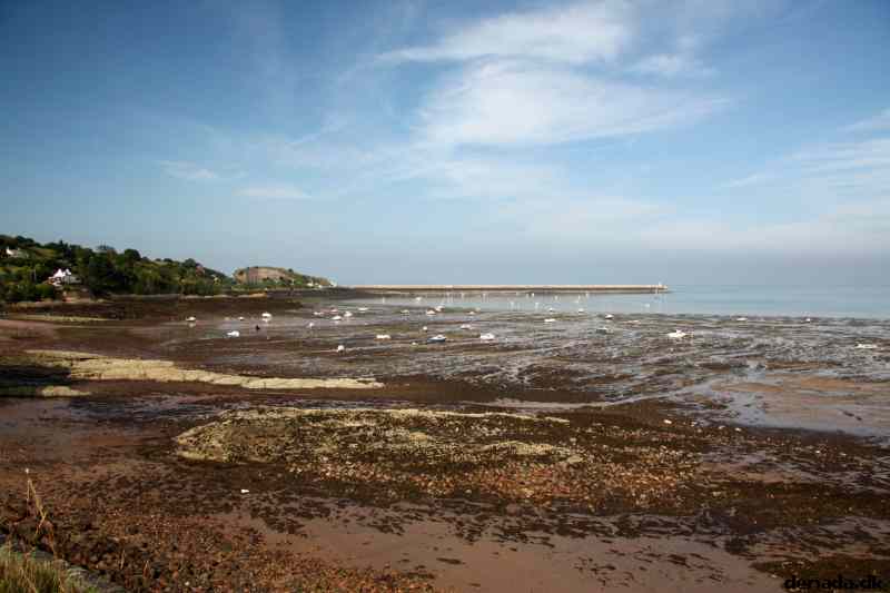 * Image 57